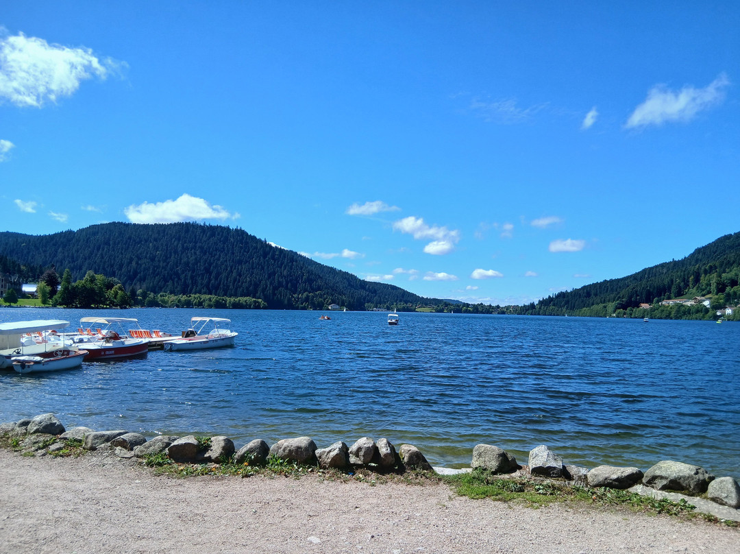 Restaurant de Gérardmer Le Grizzli