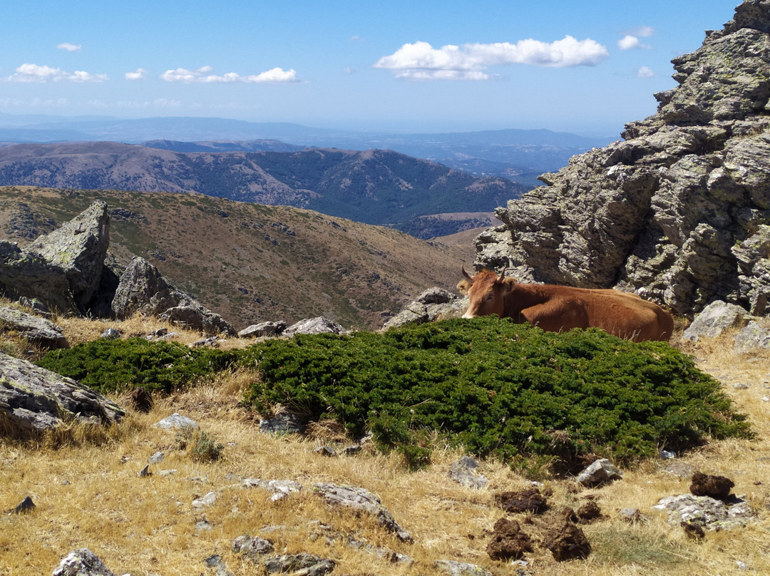 Punta La Marmora-Desulo必去景点