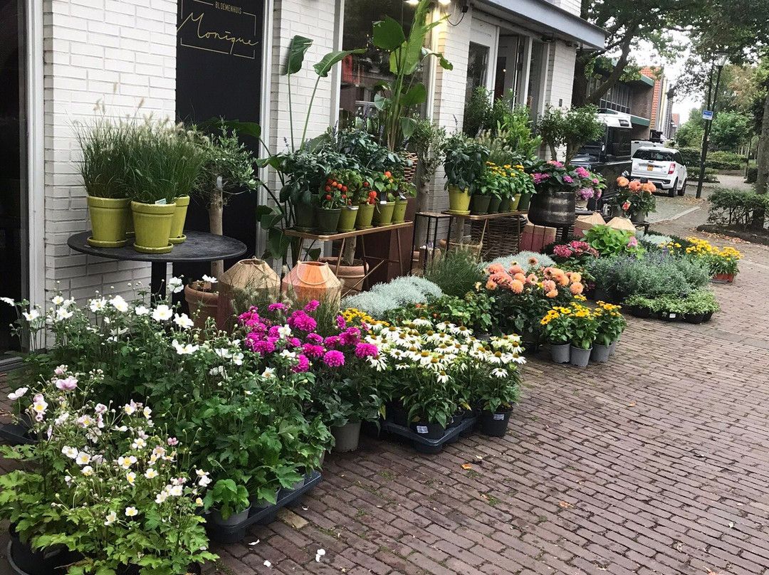 Bloemenhuis Monique-Heiloo必去景点