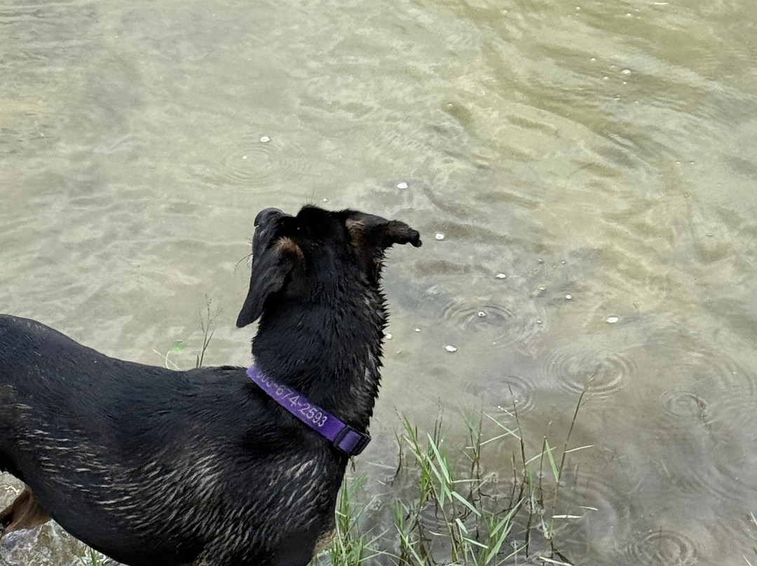 Barkley Square Dog Park-迪兰必去景点
