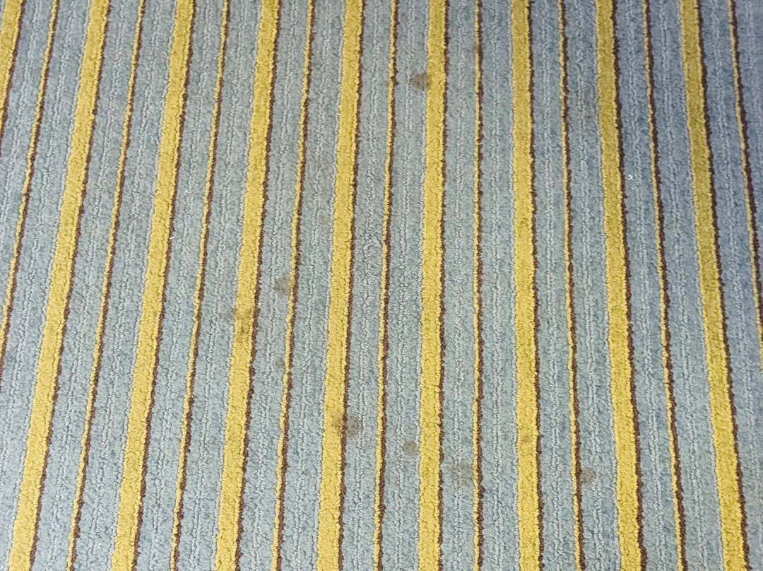 Wingate By Wyndham York主图