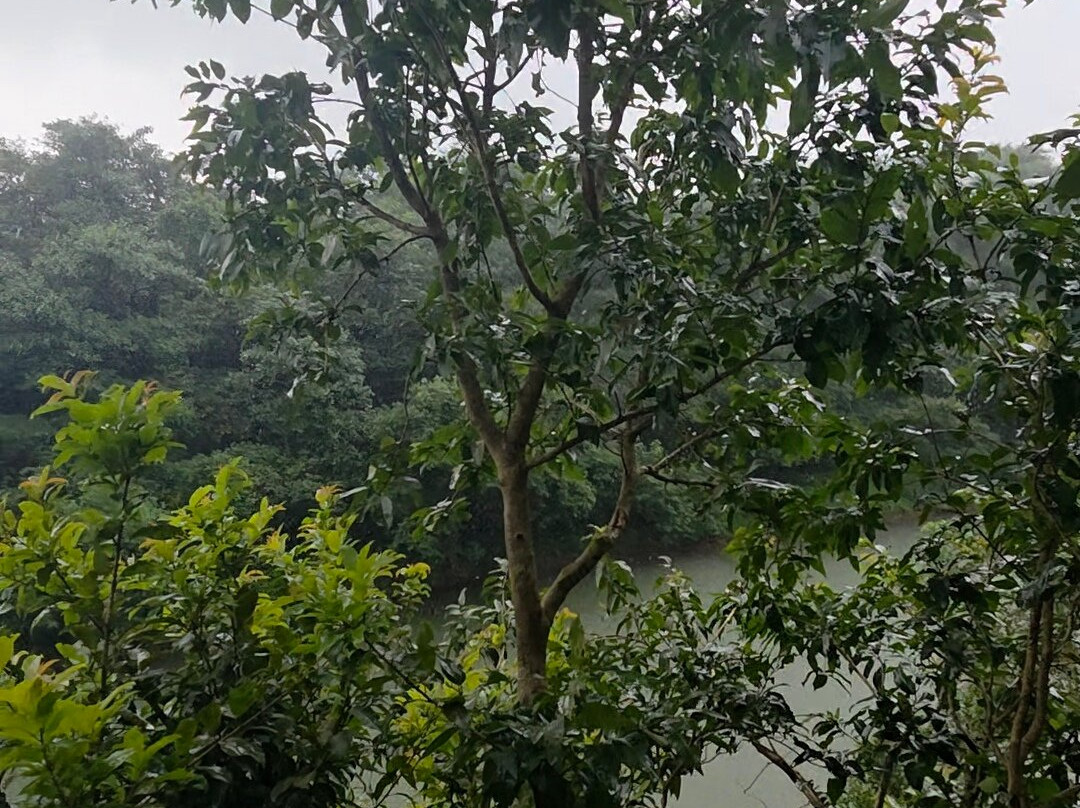 Canary Islands Resort & Spa主图