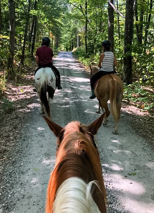 Deepwood Farm-贝塞尔必去景点