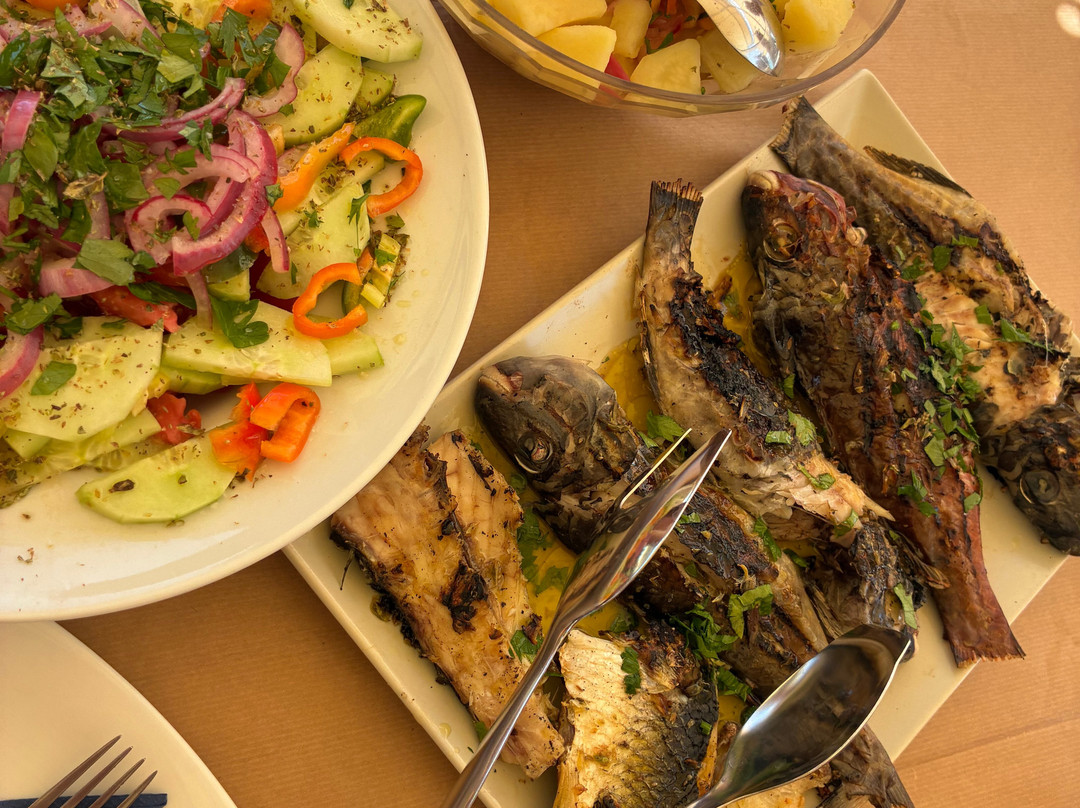 Fishing Tourism Kefalonia Dimitrios-Efthimia-Katelios必去景点