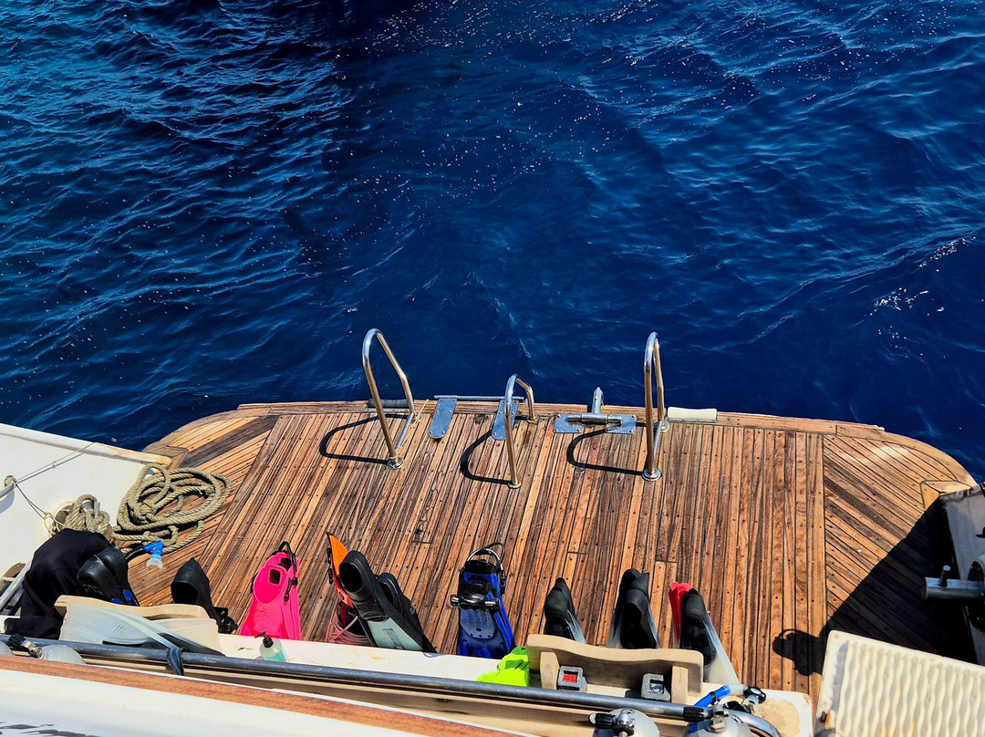 MenaDive-Safaga必去景点