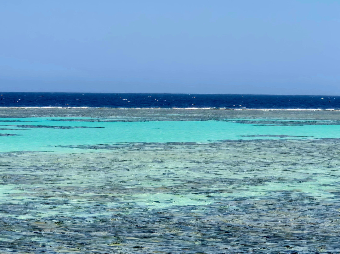 MenaDive-Safaga必去景点