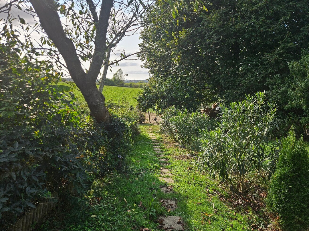 Maison Elizondoa主图