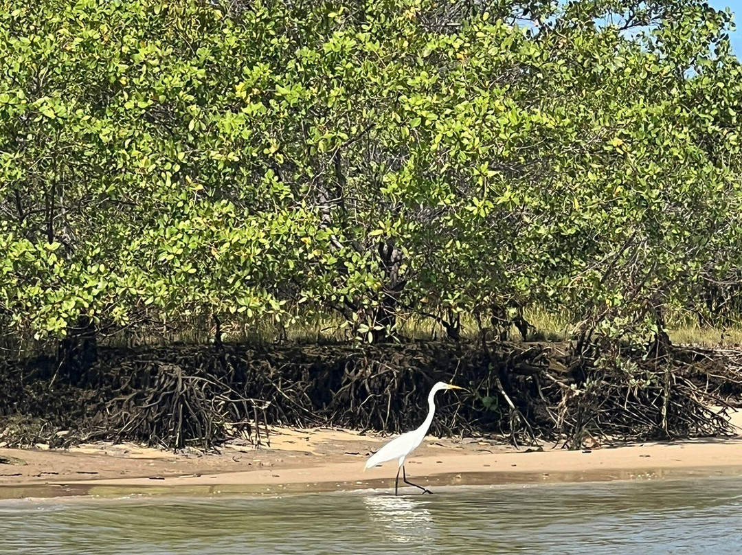 Foz do Rio São Francisco-Piacabucu必去景点
