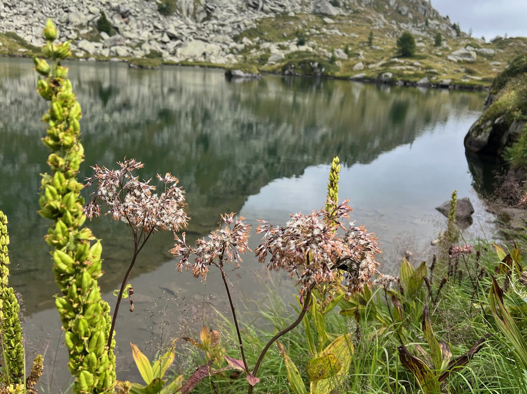 MONT Trekking-Dimaro Folgarida必去景点