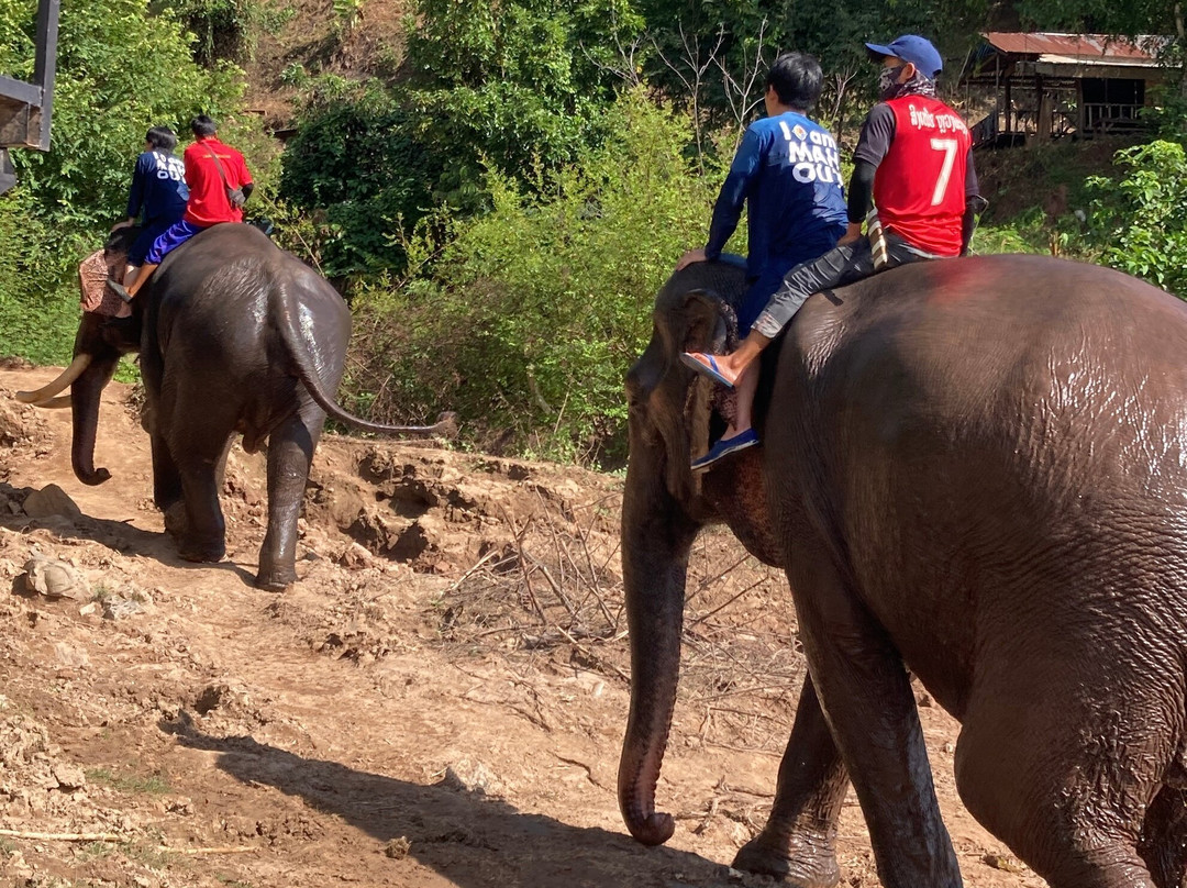 Manifa Elephant Camp-Sang Ha必去景点