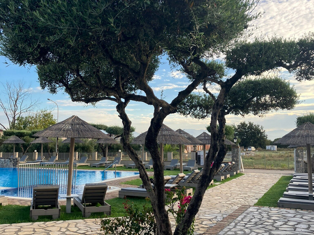 Bostonia Village主图