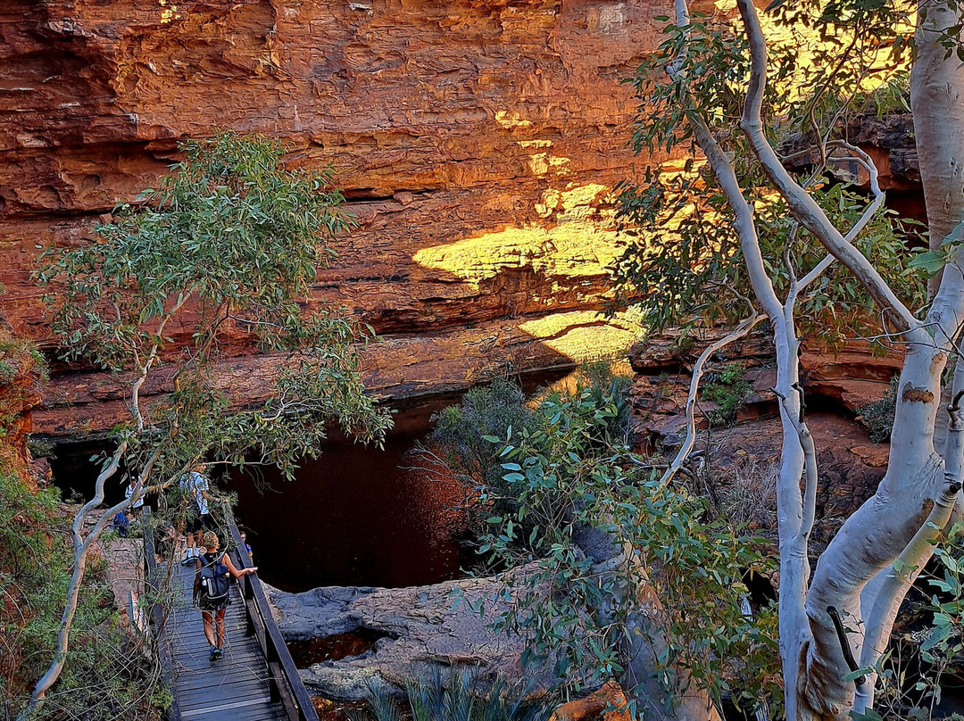 Kings Canyon Rim walk-Petermann必去景点