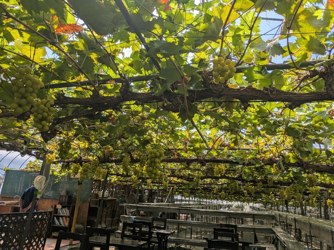 Yukimoto Farm-西条市必去景点