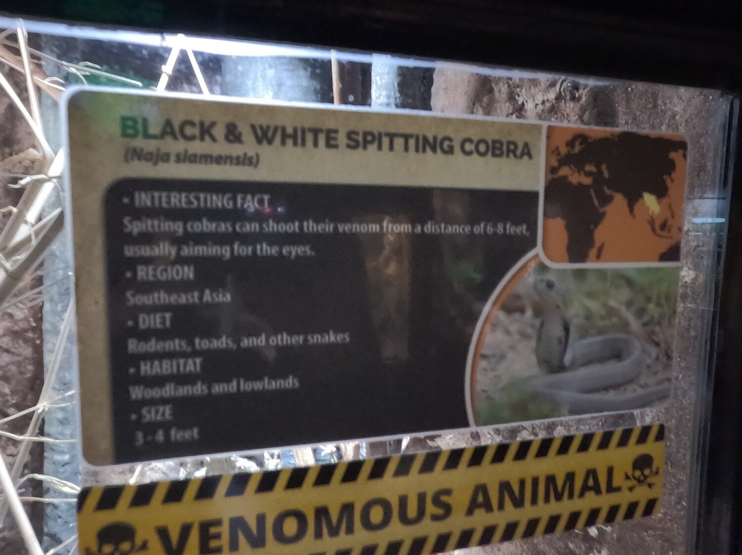 Electric City Aquarium & Reptile Den-斯克兰顿必去景点