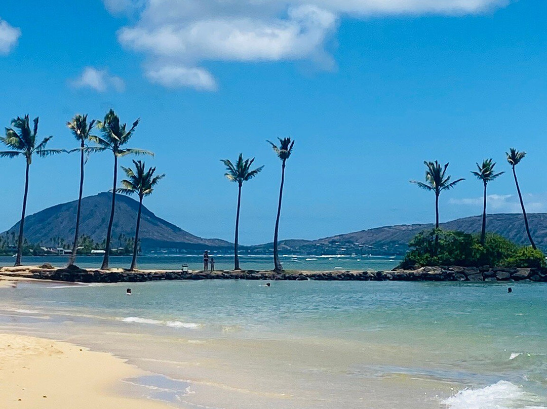 寻访海豚-瓦胡岛必去景点