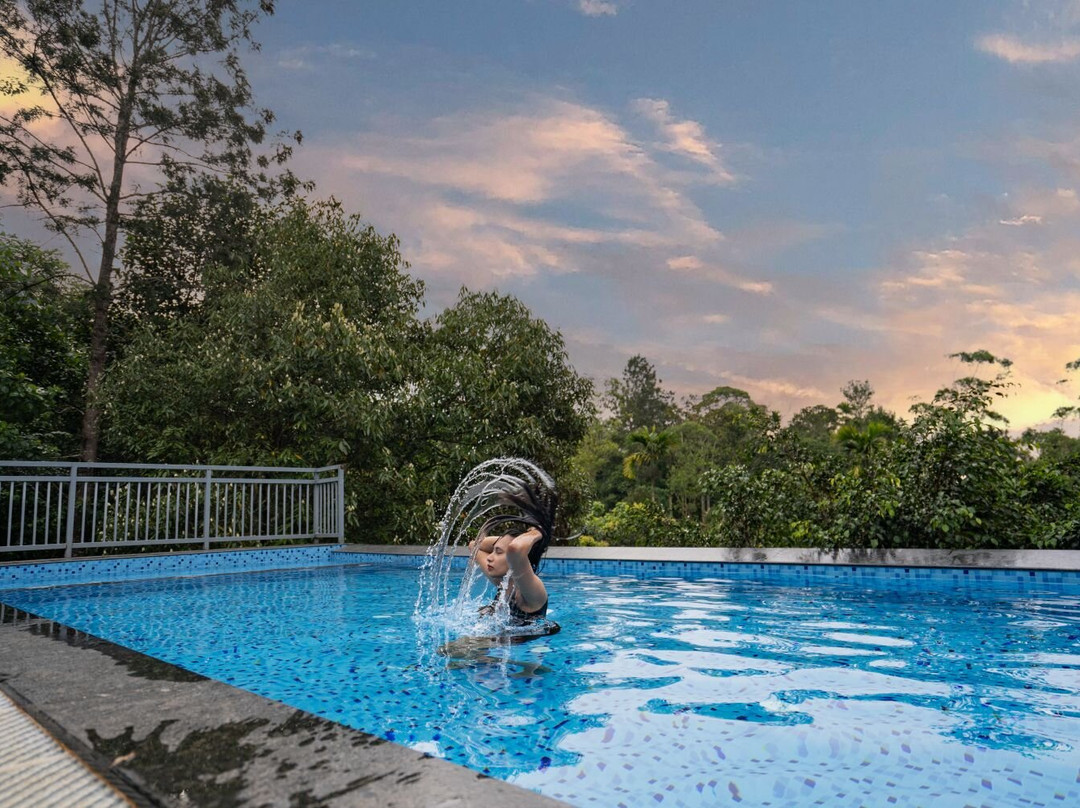 Munnar Ice Queen Resorts主图