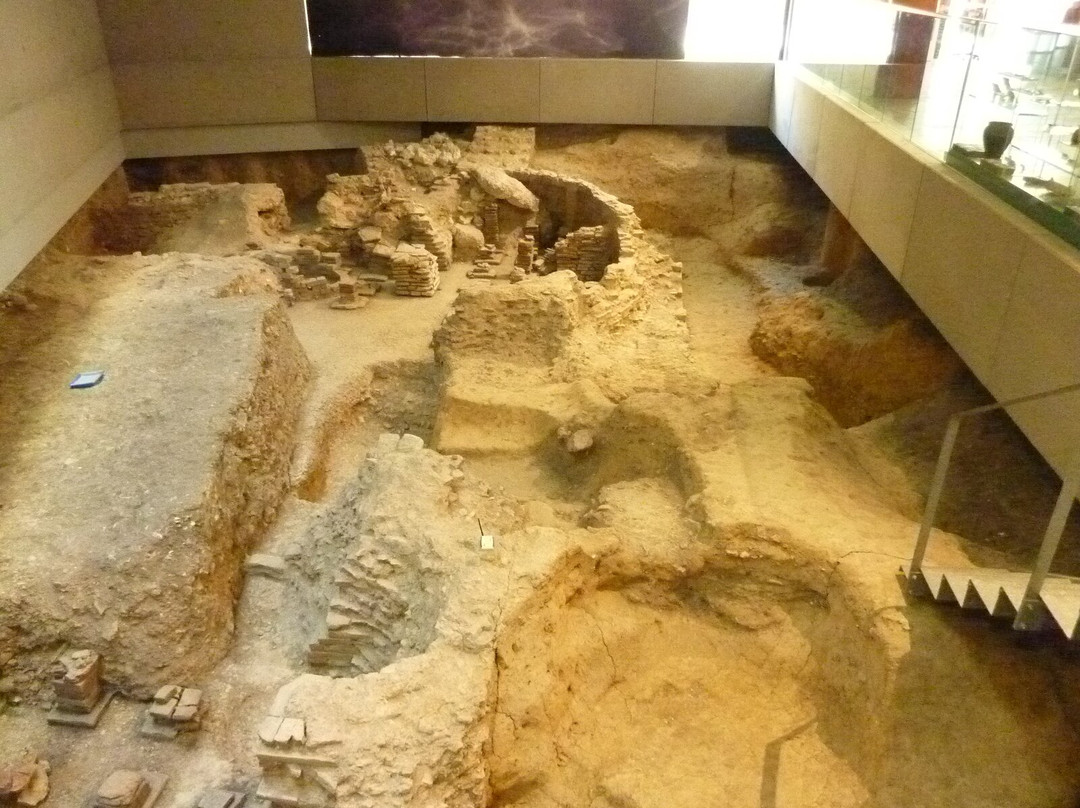 The Novium Museum-奇切斯特必去景点