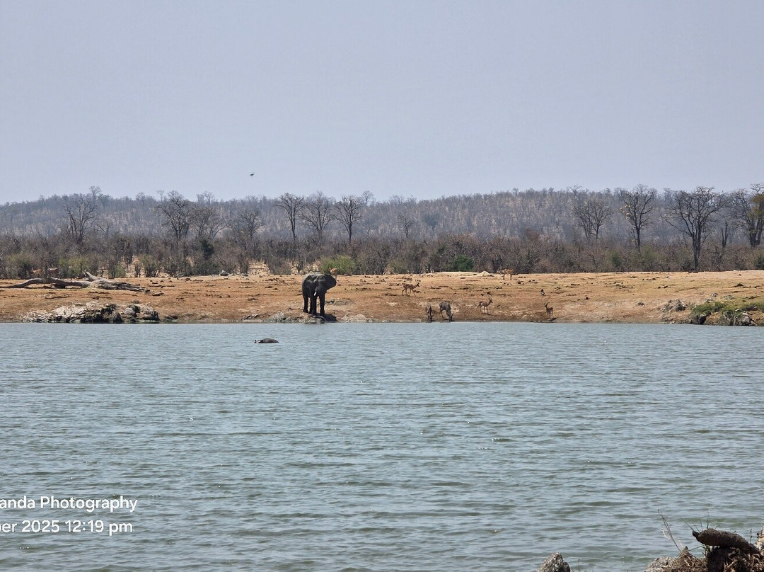 Hwange National Park-万基国家公园必去景点