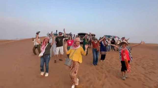 Surprise Tourism LLC-迪拜必去景点