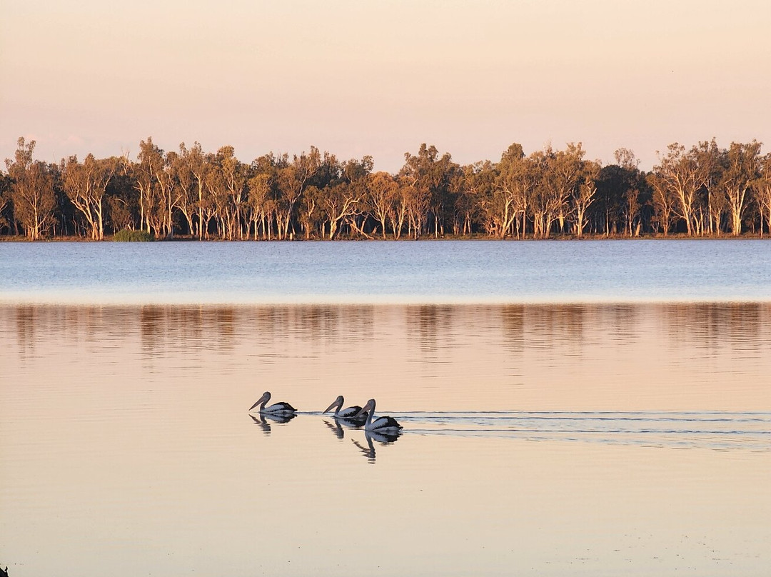 Lake Broadwater Conservation Park-多尔比必去景点