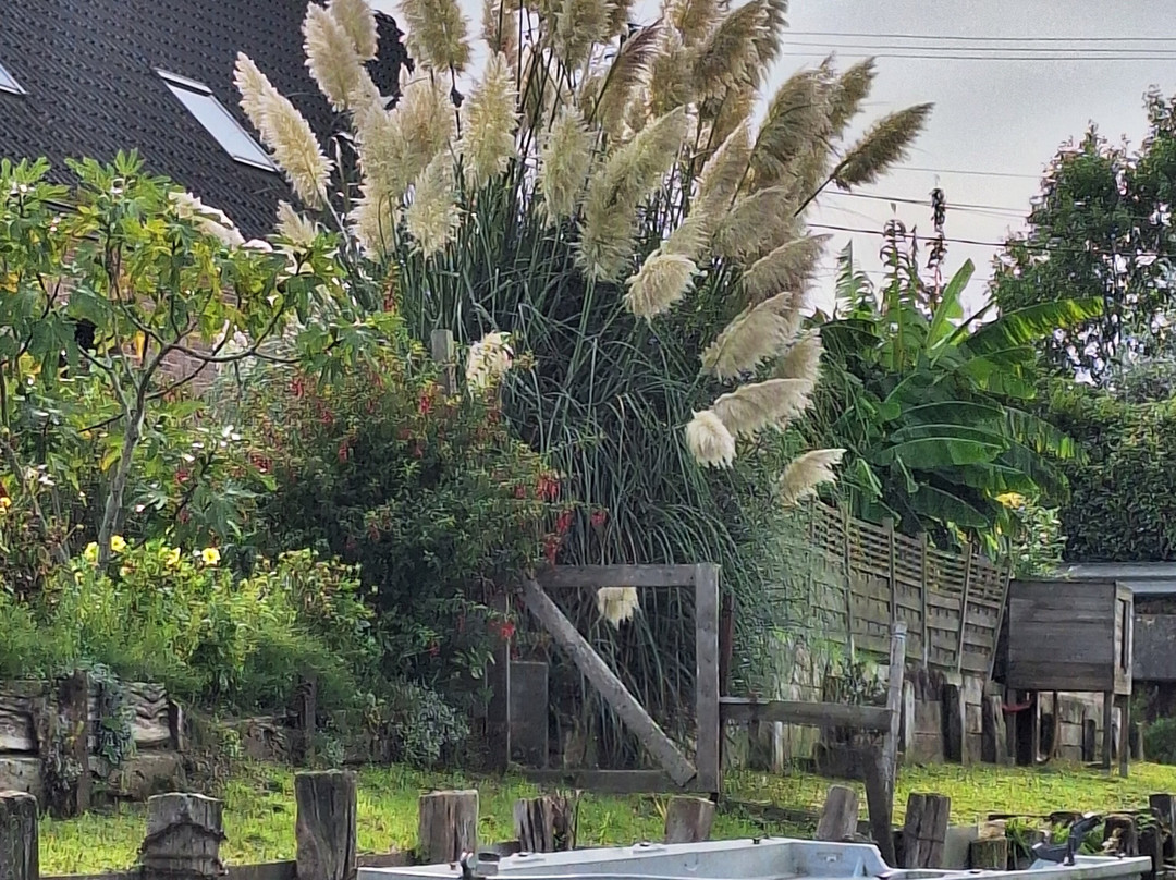 Les Faiseurs de Bateaux-圣奥梅尔必去景点