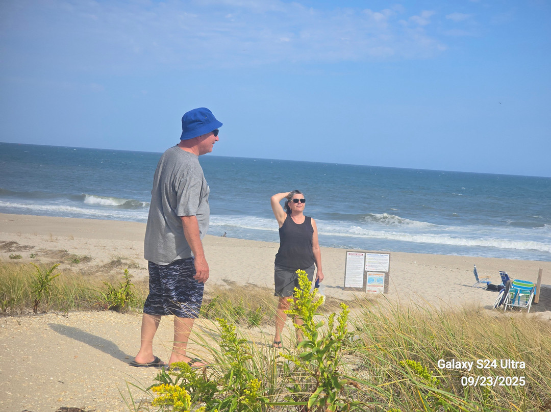 Driftwood Motel主图