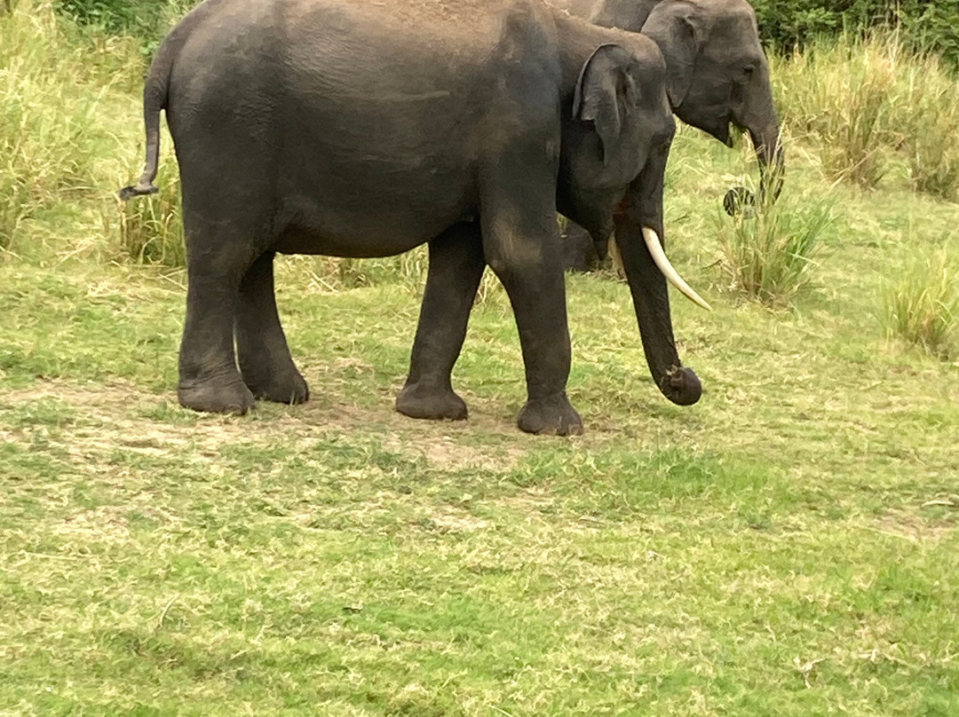 Breeze Ceylon Trails-Kekirawa必去景点