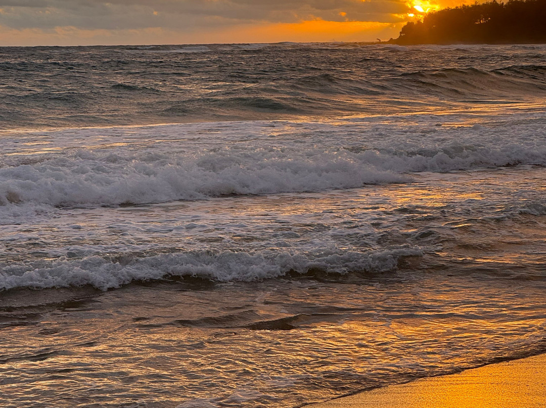 Kauai Roof Top Campers-阿那荷拉必去景点