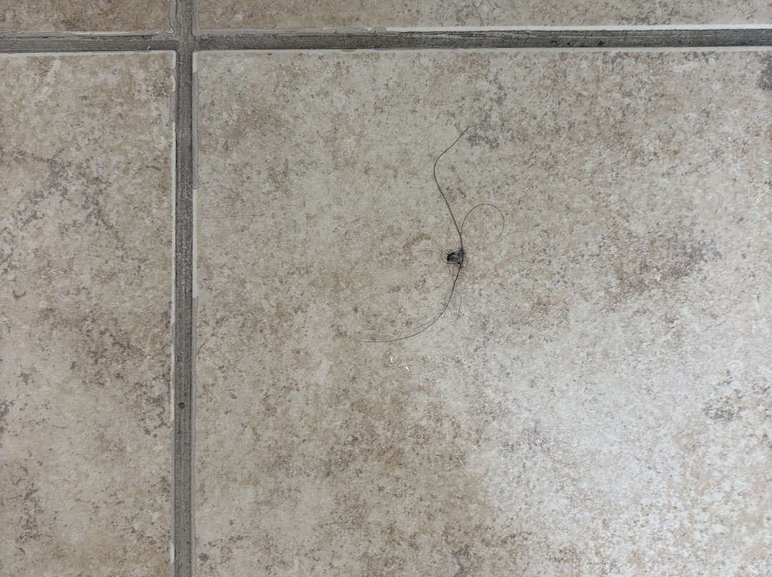 Hampton Inn Birmingham / Mountain Brook主图