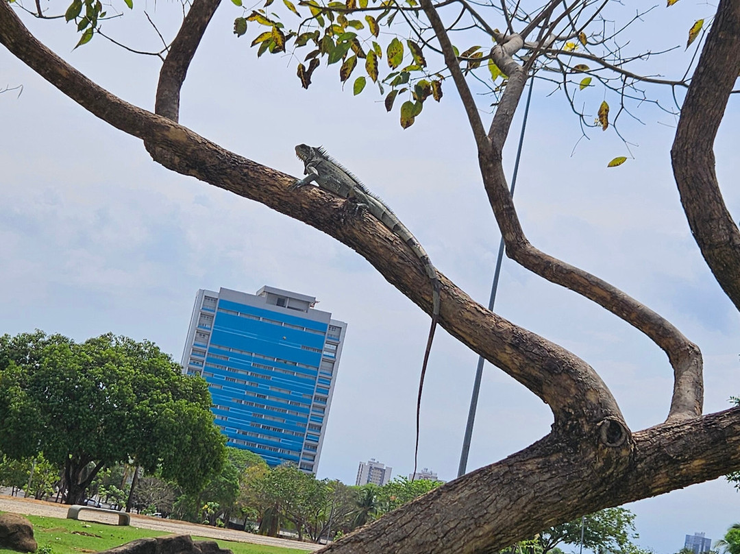 Pousada dos Girassois主图