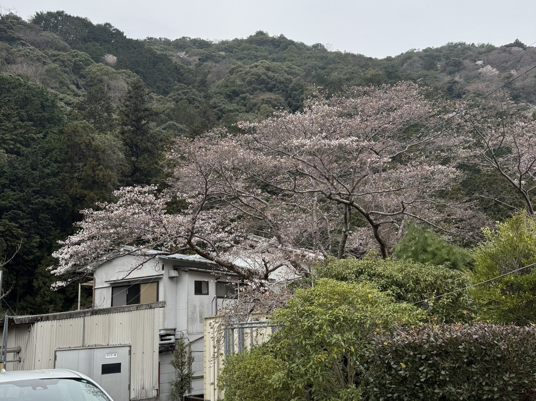 Okumizuma Onsen主图