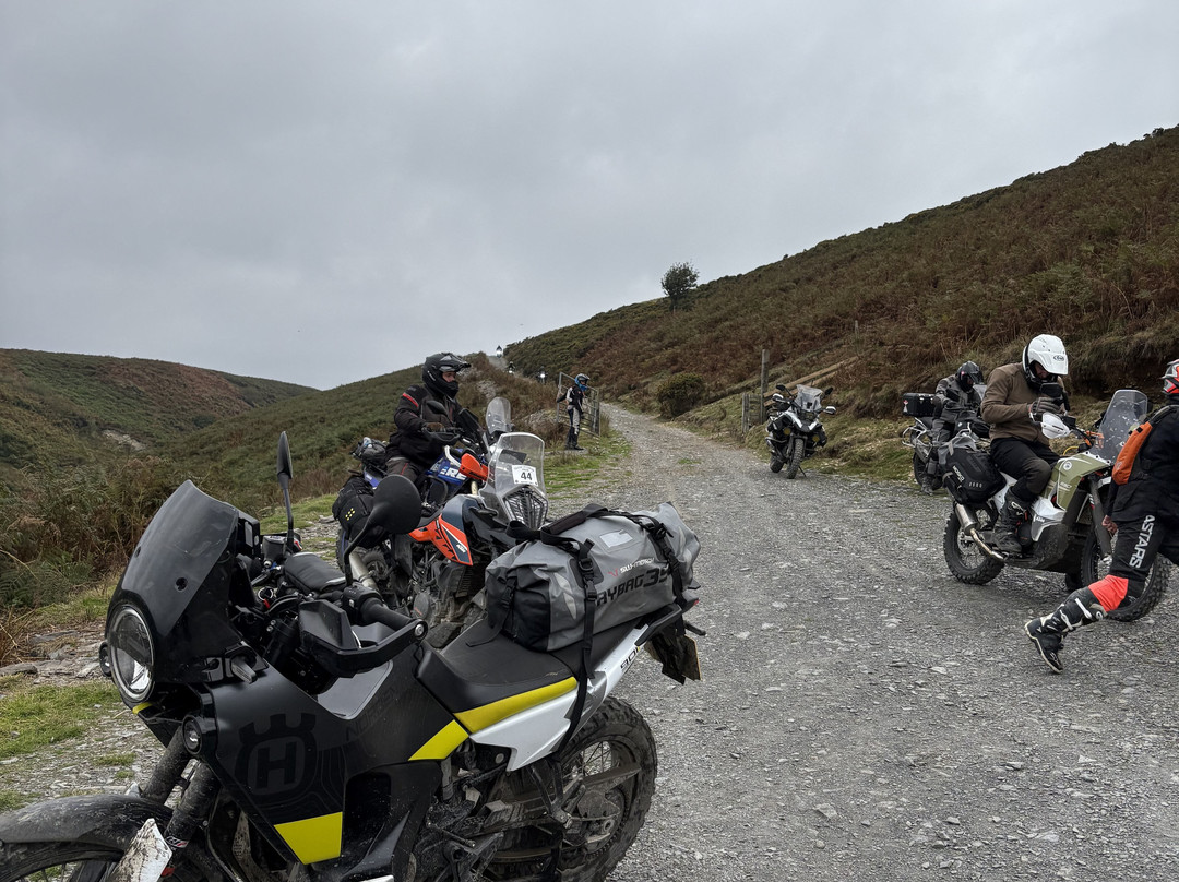 Trail Riding UK - Day Tours-Welshpool必去景点