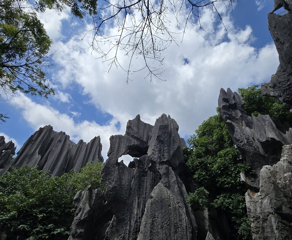 石林风景区-石林彝族自治县必去景点