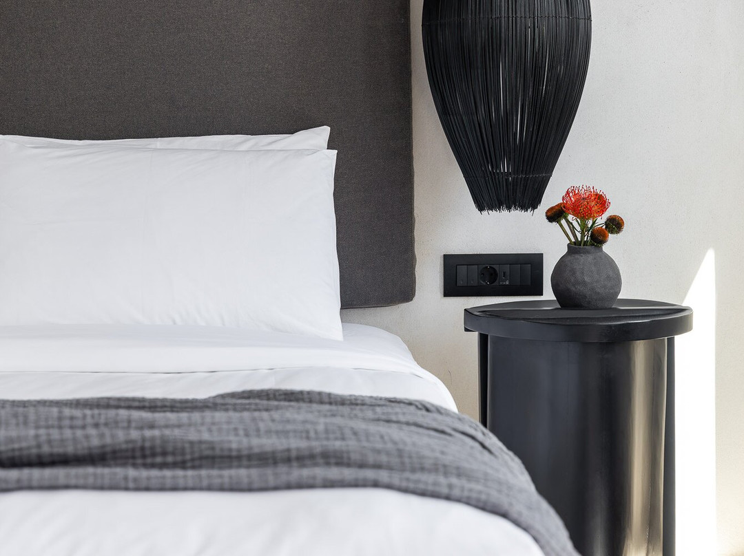 罗卡拜勒米克诺斯艺术酒店及Spa主图