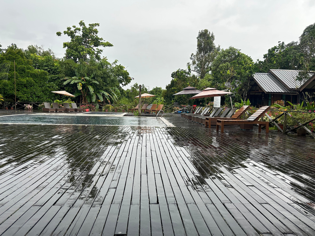 Borneo Sepilok Rainforest Resort主图