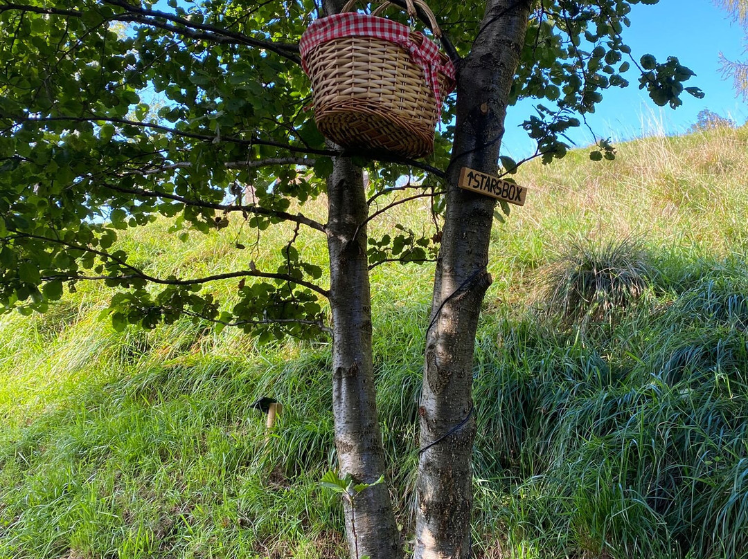 La Vrata Gialla