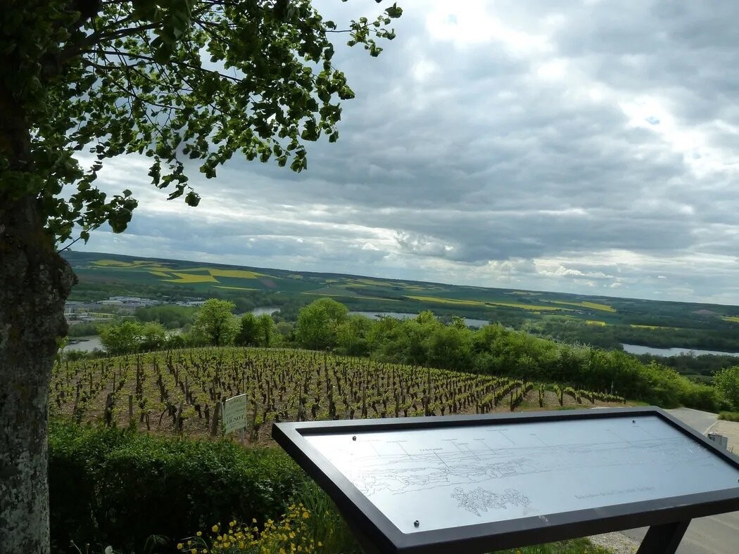 Belvédère de la côte Saint-Jacques