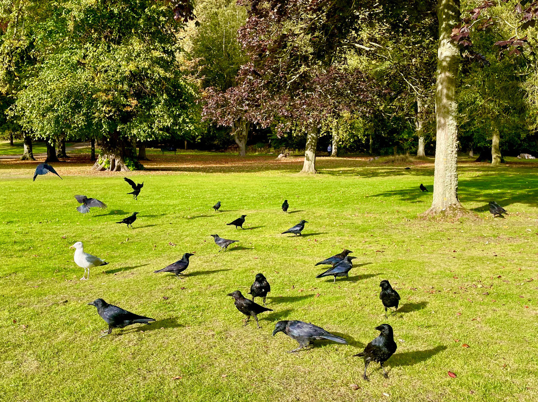 Seaton Park-阿伯丁必去景点