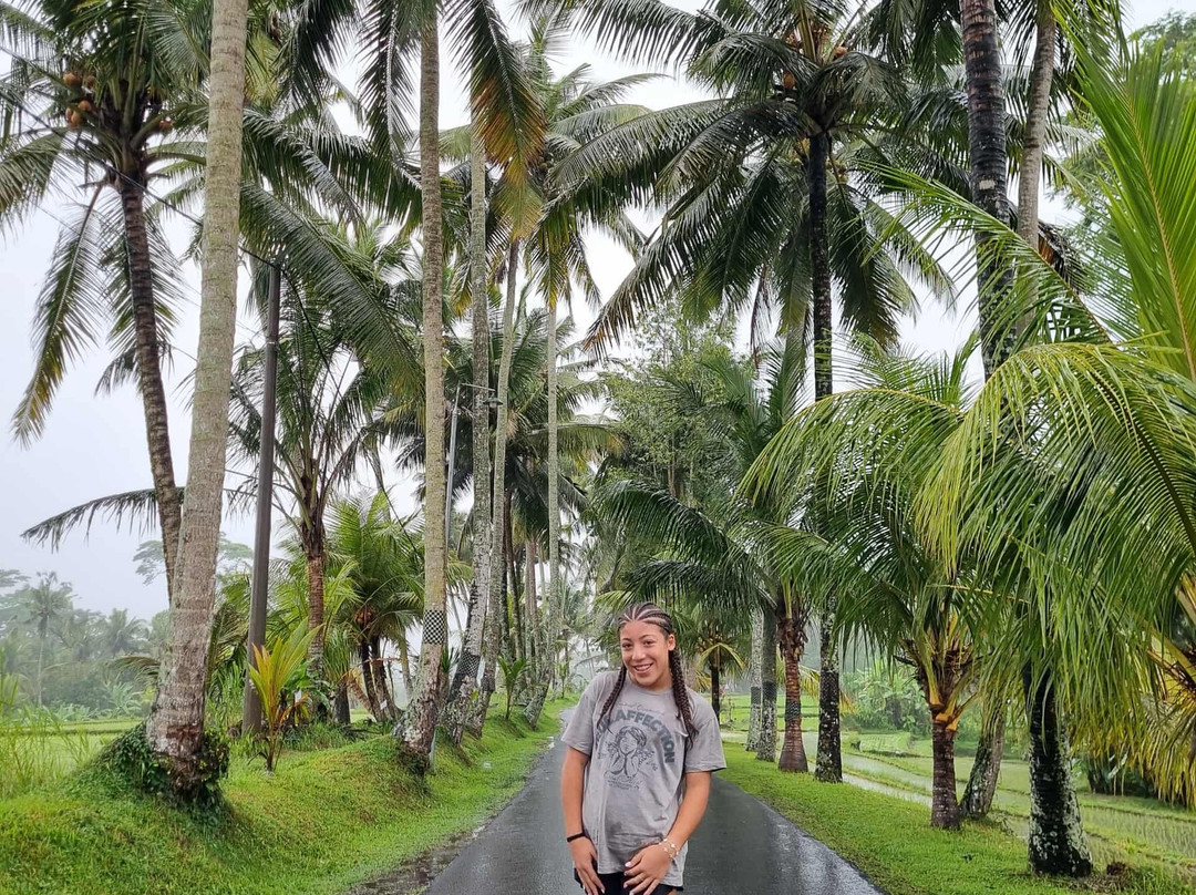 Stunning Bali Tours-水明漾必去景点