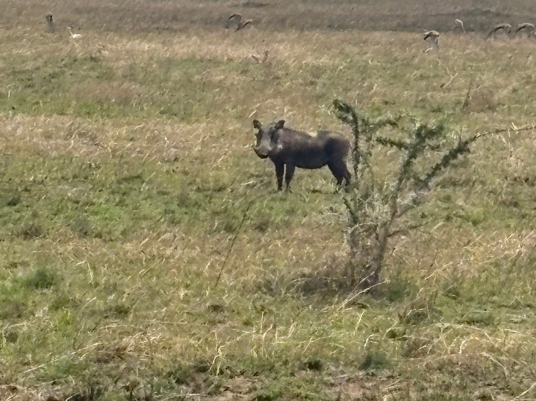 Muhi Tours And Safaris-桑给巴尔岛必去景点