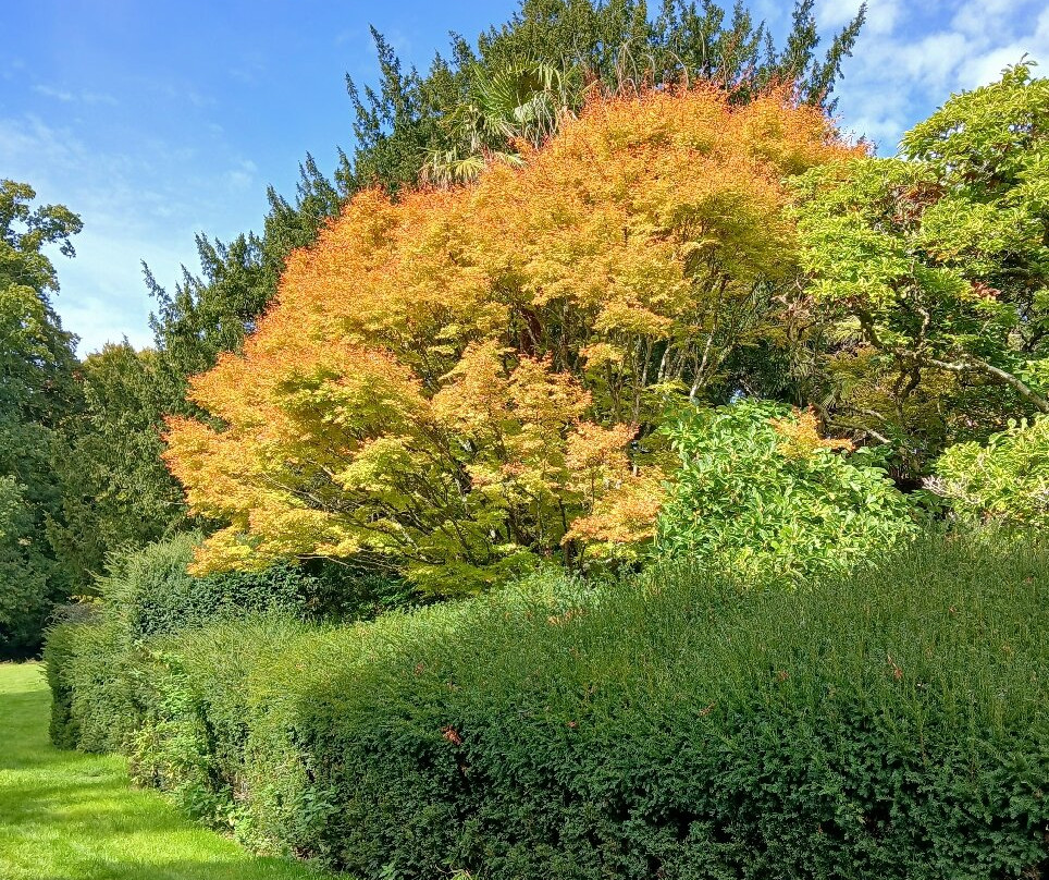 Kingston Maurward Park and Gardens-多切斯特必去景点
