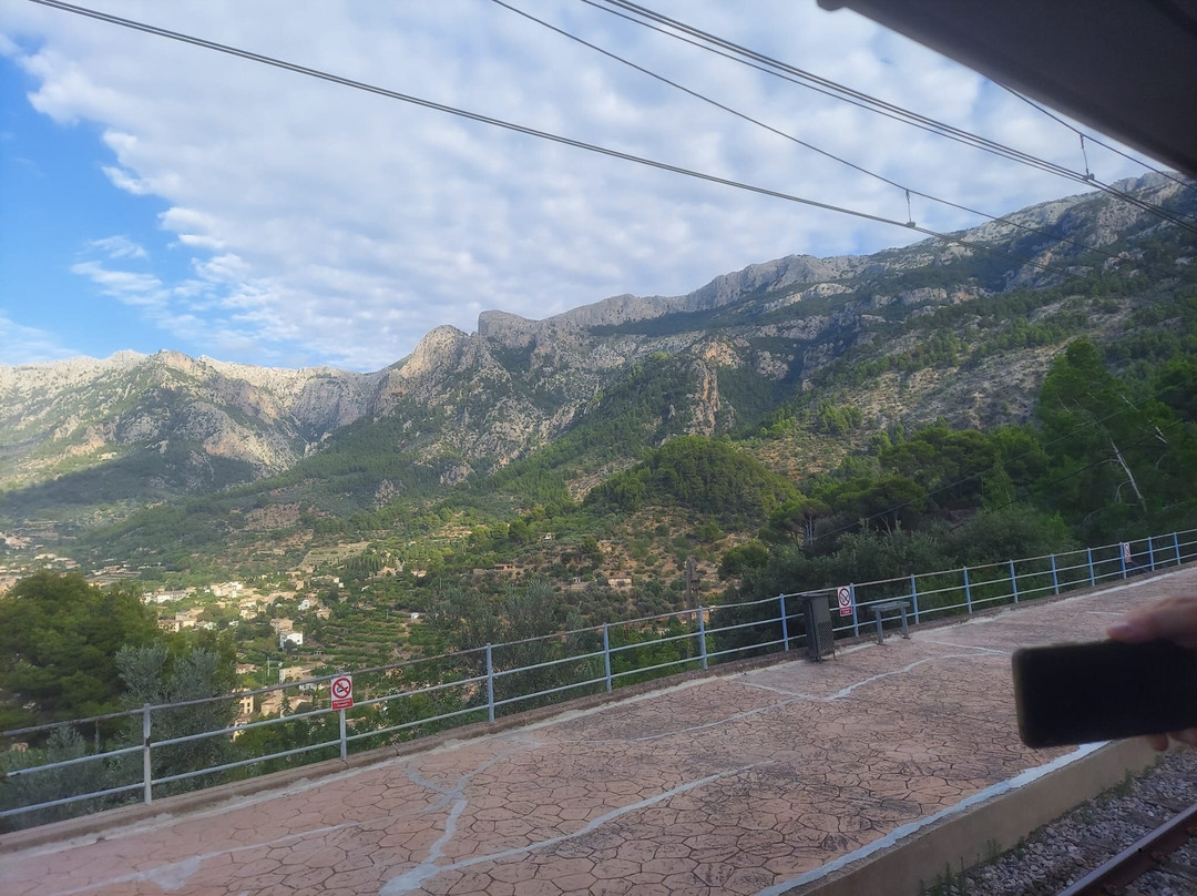 Tren de Sóller-索耶尔必去景点