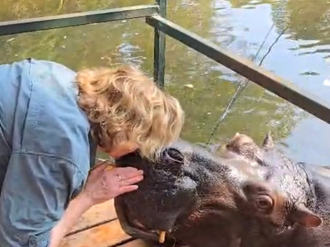 African Journey Safaris-霍德斯普鲁特必去景点