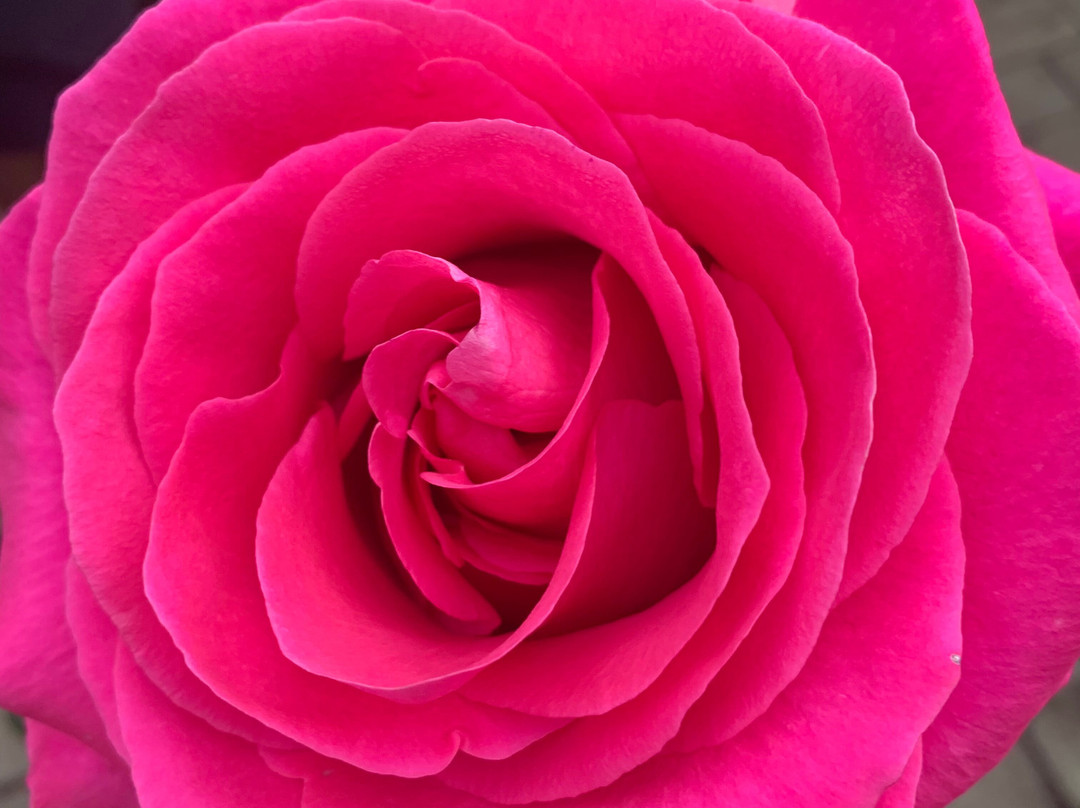 Adventure Journeys-基多必去景点