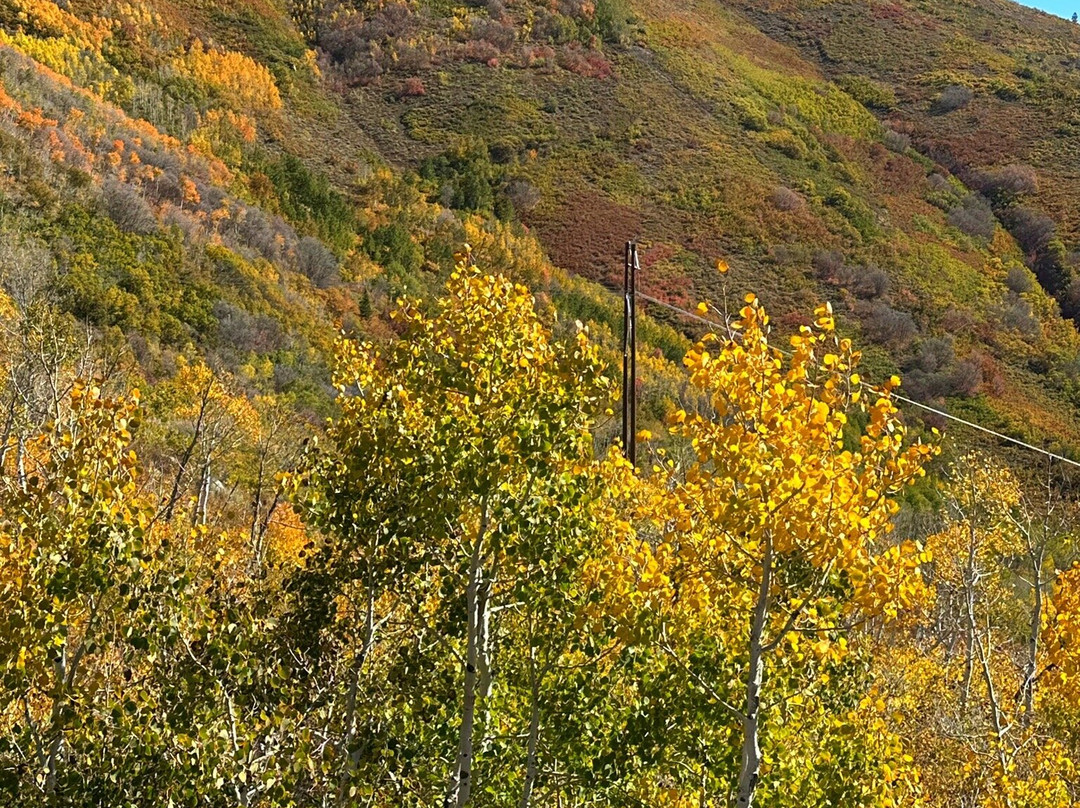 Best Western Plus Landmark Inn主图