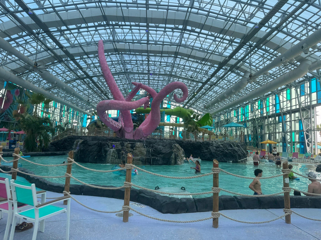 Tropic Falls At OWA-弗利必去景点