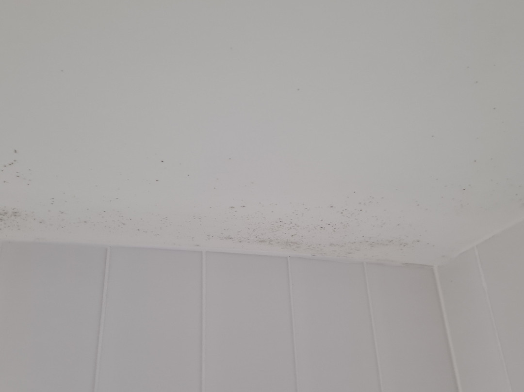 真言水上度假村 酒店主图