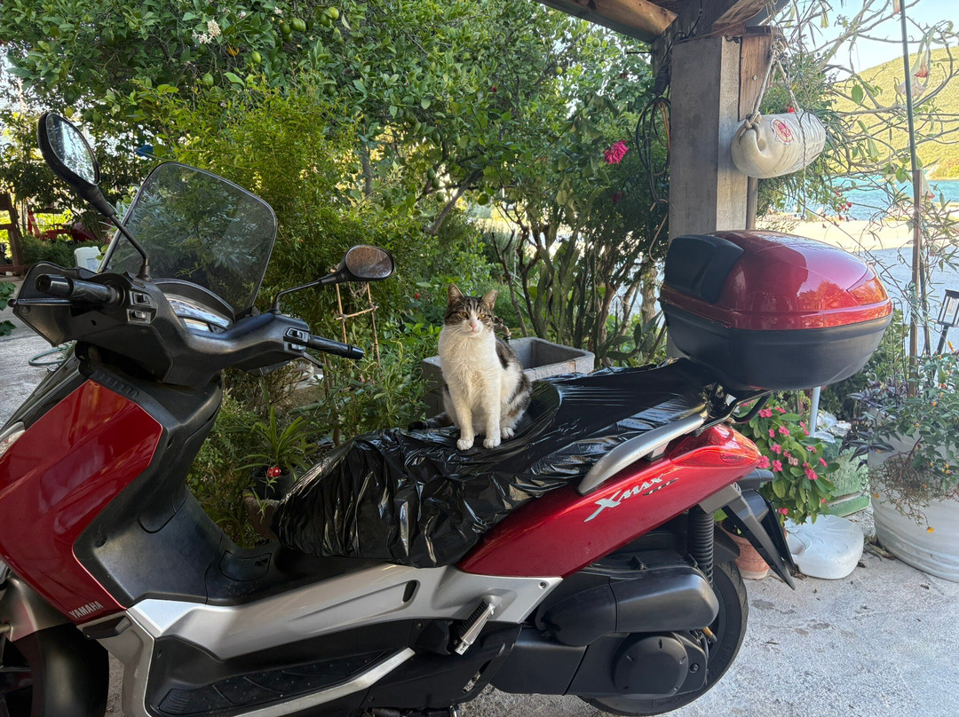 8Rental Company-伦敦必去景点