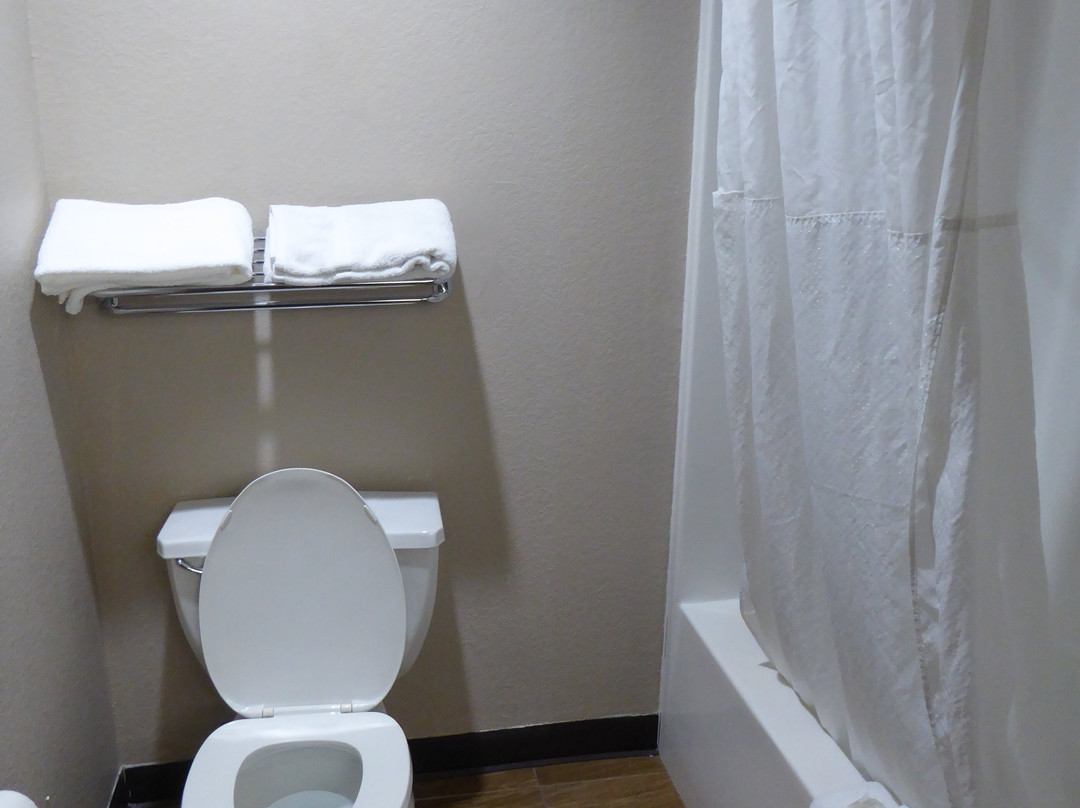 Super 8 by Wyndham Monee主图