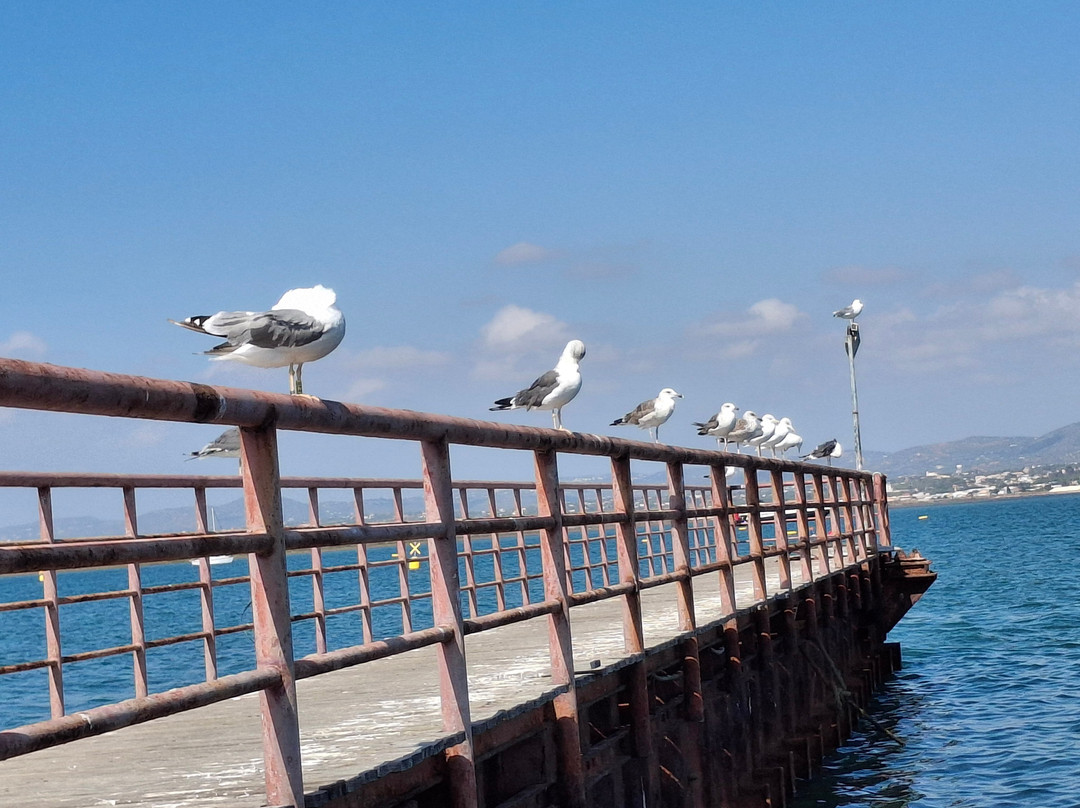 Fantastikspirit Boat Trips & Tours-奥良必去景点